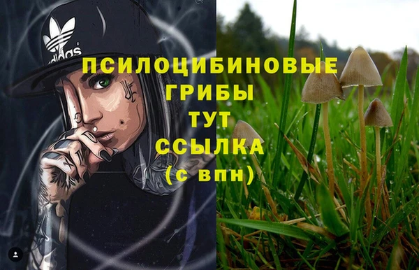 амф Алзамай