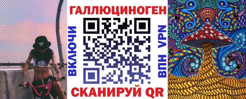 где купить   Бабаево  Псилоцибиновые грибы Psilocybe 