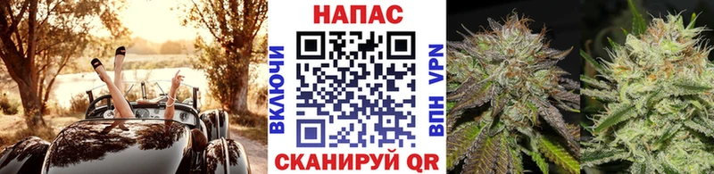 где купить наркоту  Бабаево  hydra ССЫЛКА  мориарти формула  Конопля семена 